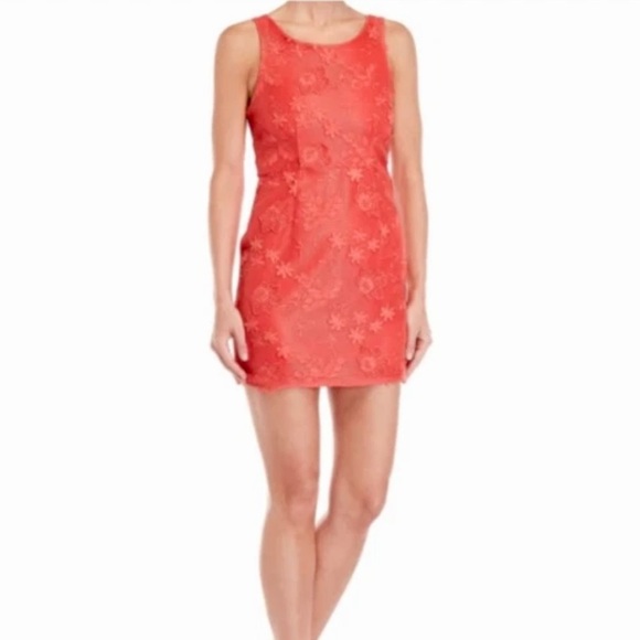 Romeo & Juliet Couture Floral Lace Mini Sheath Dress Cotton Vibrant Coral Large - Picture 1 of 15